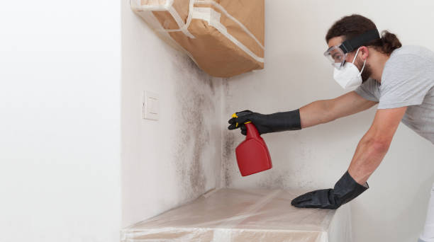 Professional Bathroom Mold Removal technician working in Richardsville, VA