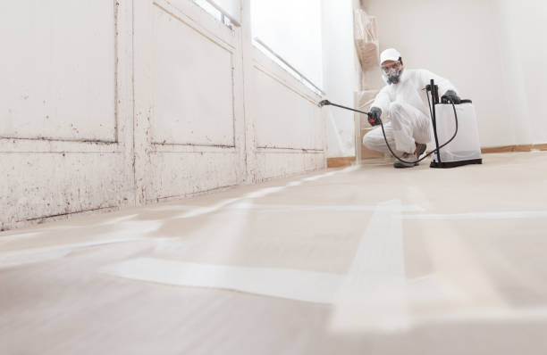 24/7 Emergency Bathroom Mold Removal experts in Richardsville, VA
