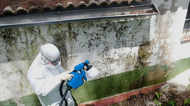 Top rated local Bathroom Mold Removal specialists in Richardsville, VA
